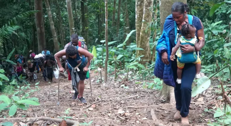 214 venezolanos al día cruzan la selva del Darién