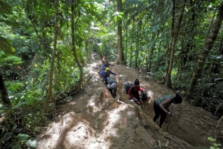 Nunca antes habían cruzado tantos migrantes por la selva del Darién como en 2023: los venezolanos a la cabeza